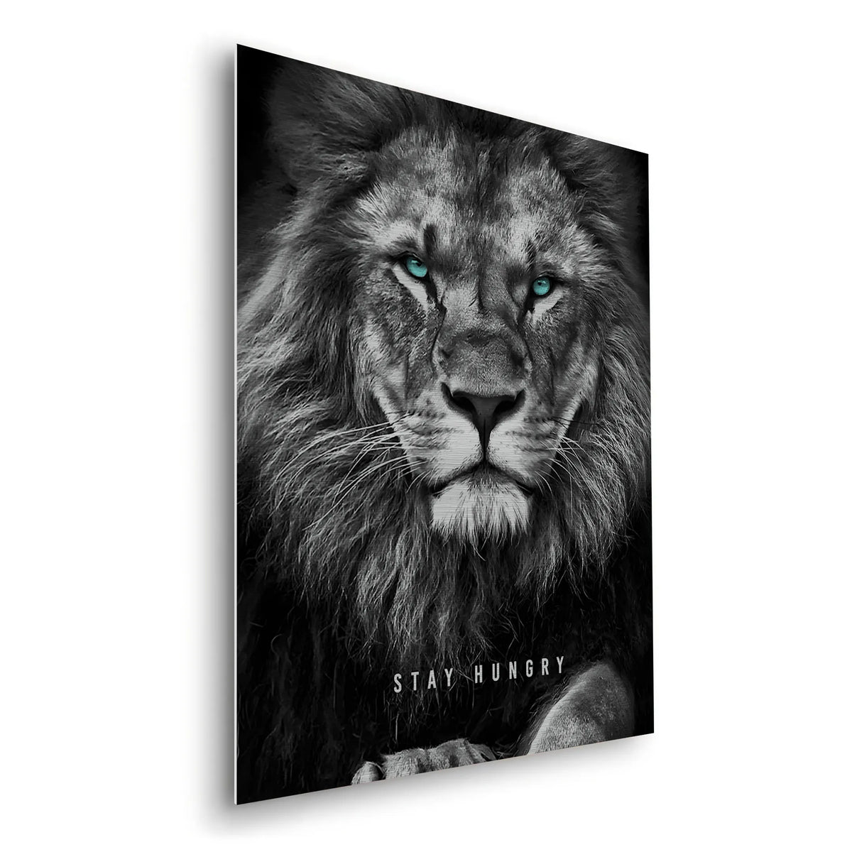 Stay Hungry - Metal - Jasmineart.ae