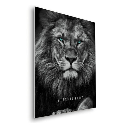 Stay Hungry - Metal
