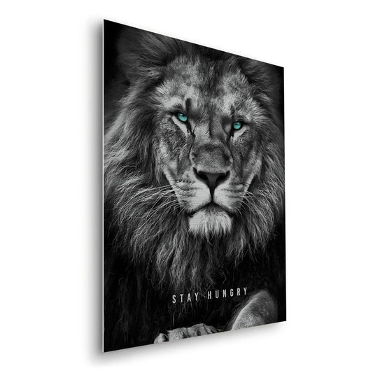 Stay Hungry - Metal