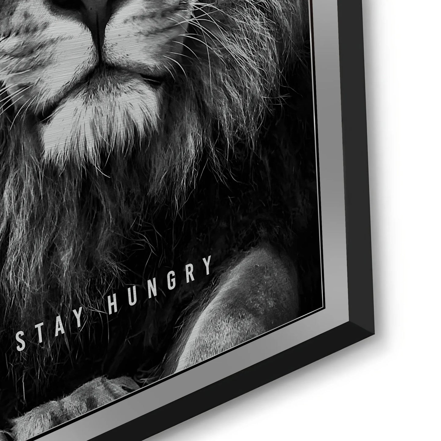2Stay Hungry - Metal