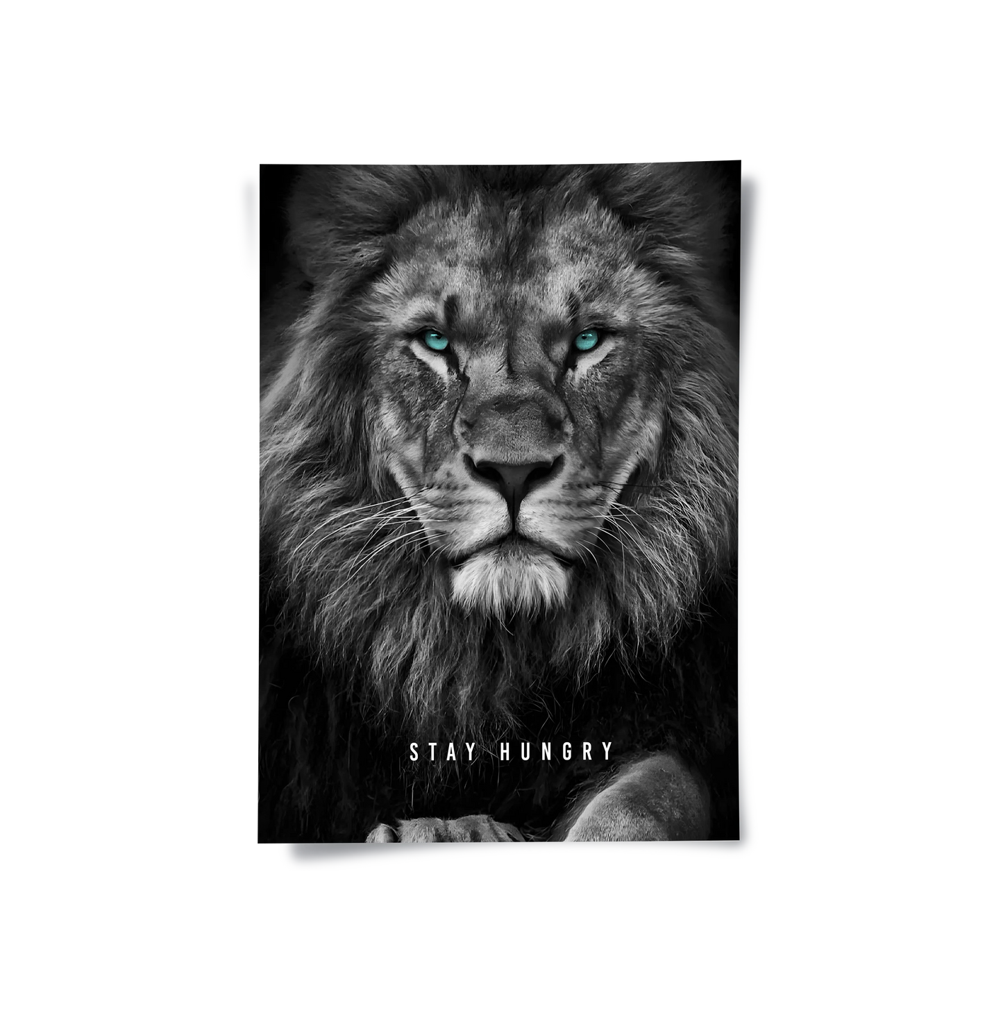 2Stay Hungry - Poster