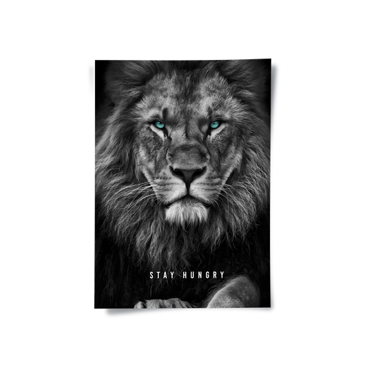 Stay Hungry - Poster