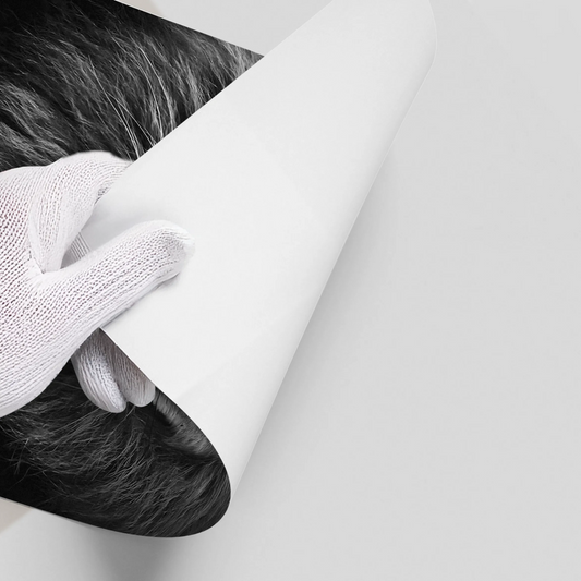 Stay Hungry - Poster