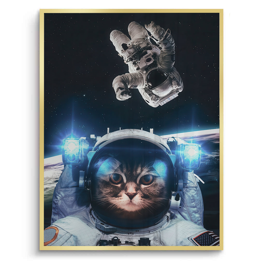 2Surreal Kitty in Space - Fine Art
