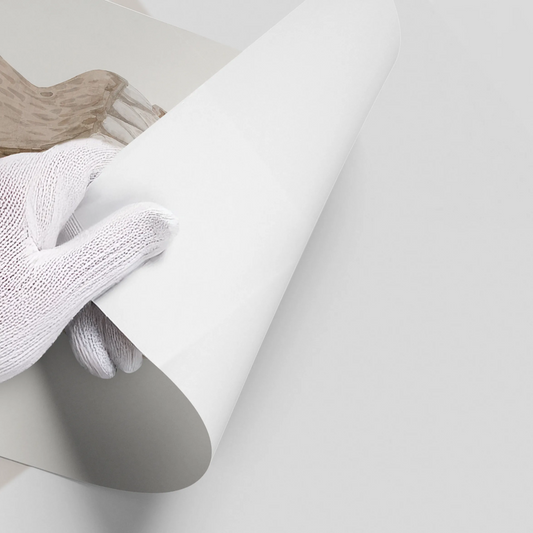 Take Your Time and Shine - Poster