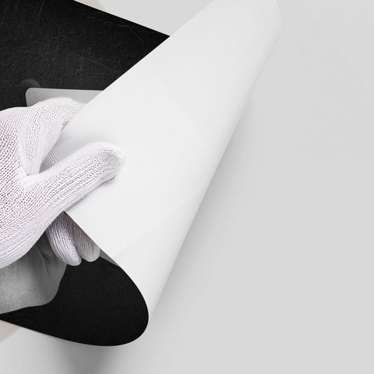 Take the Risk or Lose the Chance - Poster