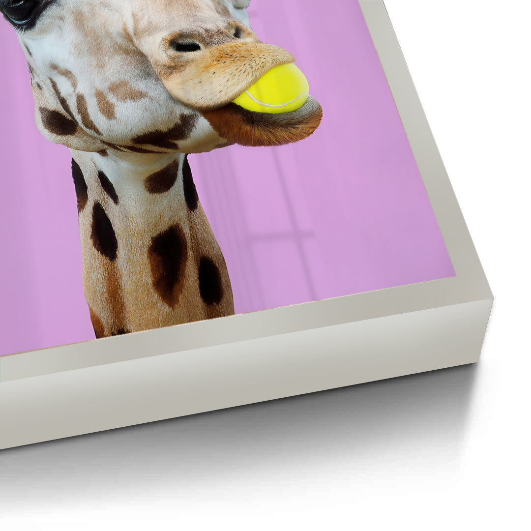 2Tennis Giraffe - Fine Art