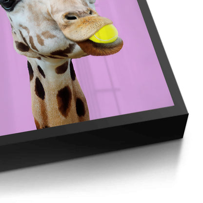 Tennis Giraffe - Fine Art