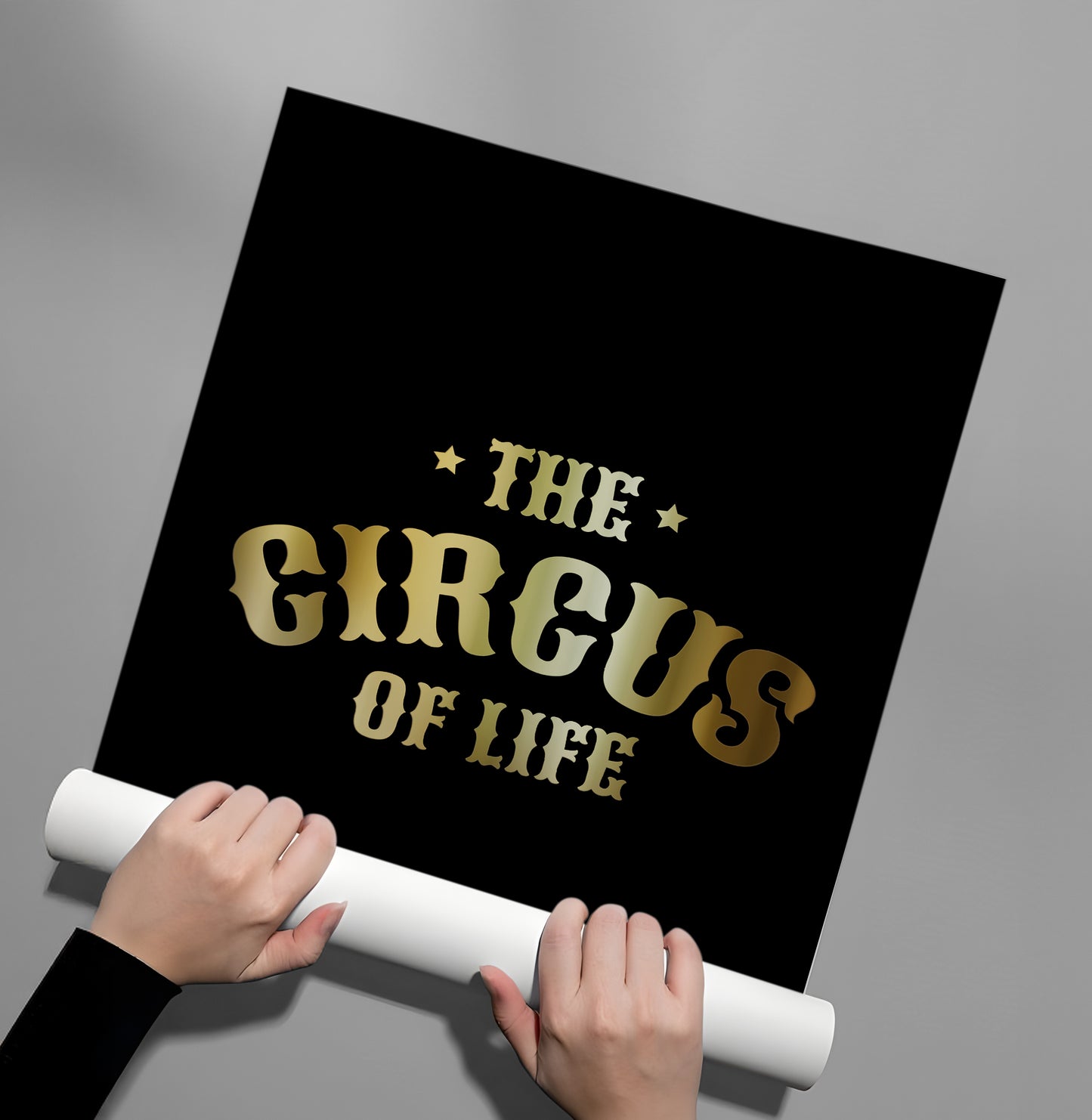 2The Circus of Life - Poster