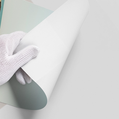 The Lone Sentinel - Poster