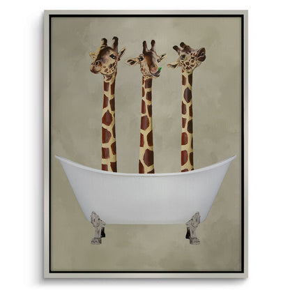 Three Giraffes Bathing - Canvas