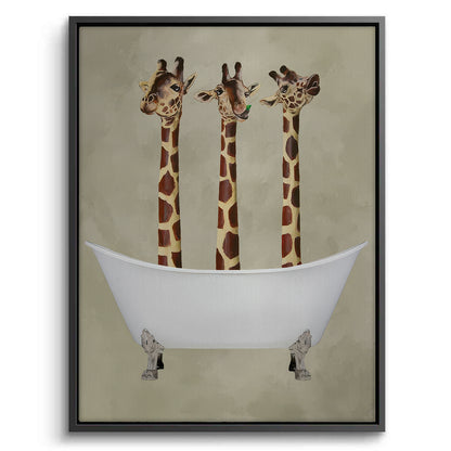 Three Giraffes Bathing - Canvas