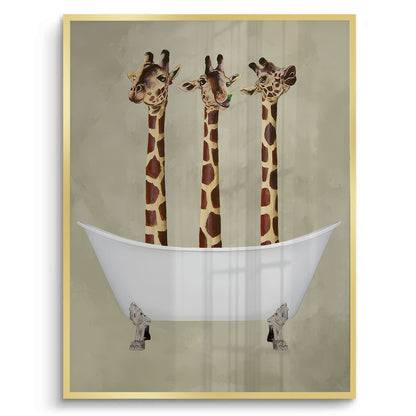 Three Giraffes Bathing - Fine Art