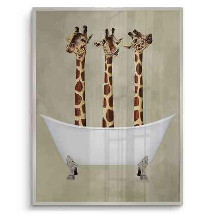 Three Giraffes Bathing - Fine Art
