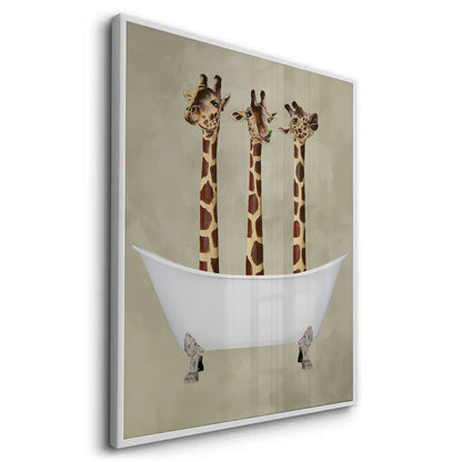 Three Giraffes Bathing - Fine Art