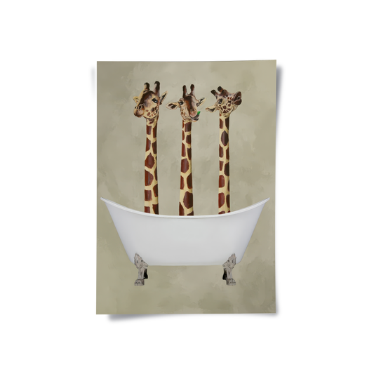 Three Giraffes Bathing - Poster