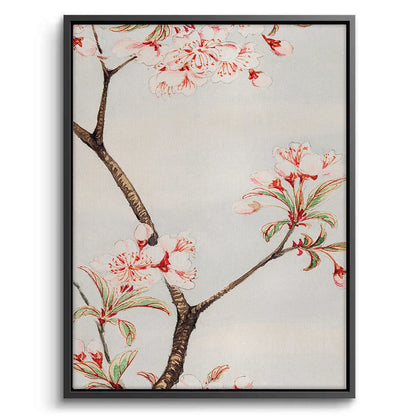 Traditional Japanese Cherry Blossom - Canvas