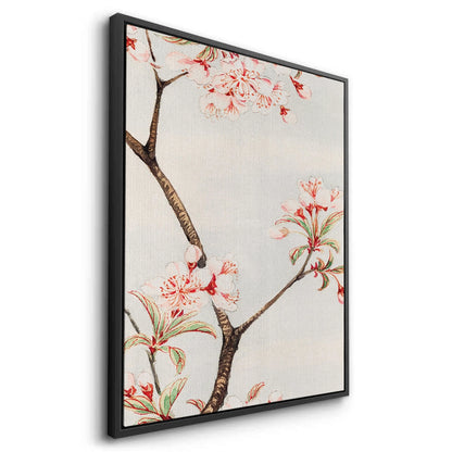Traditional Japanese Cherry Blossom - Canvas