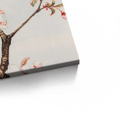 Traditional Japanese Cherry Blossom - Canvas