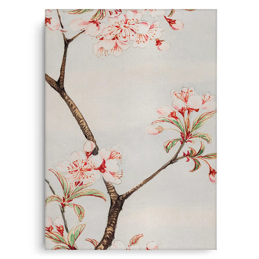 Traditional Japanese Cherry Blossom - Canvas