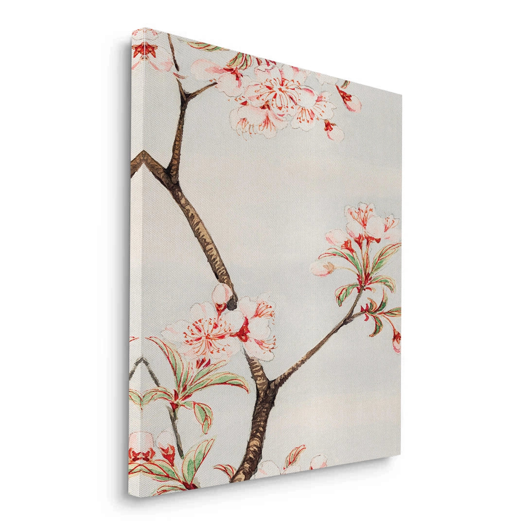 2Traditional Japanese Cherry Blossom - Canvas
