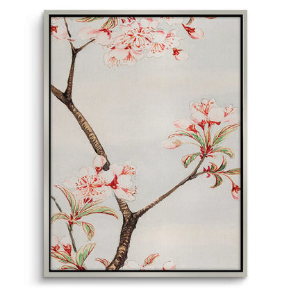Traditional Japanese Cherry Blossom - Canvas