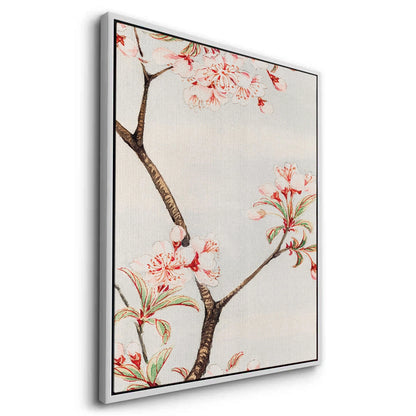 Traditional Japanese Cherry Blossom - Canvas