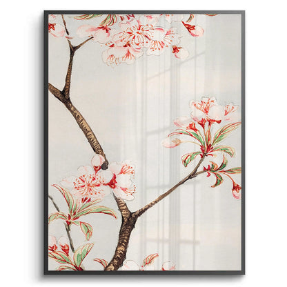 Traditional Japanese Cherry Blossom - Fine Art