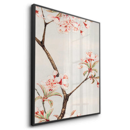 Traditional Japanese Cherry Blossom - Fine Art