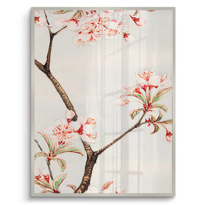 Traditional Japanese Cherry Blossom - Fine Art