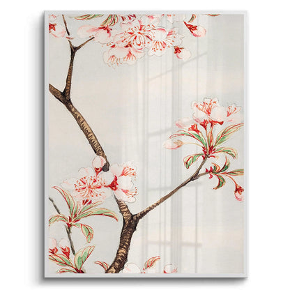 Traditional Japanese Cherry Blossom - Fine Art