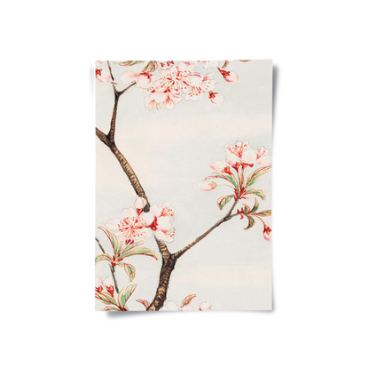 Traditional Japanese Cherry Blossom - Poster