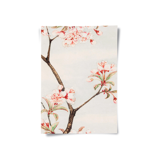 Traditional Japanese Cherry Blossom - Poster