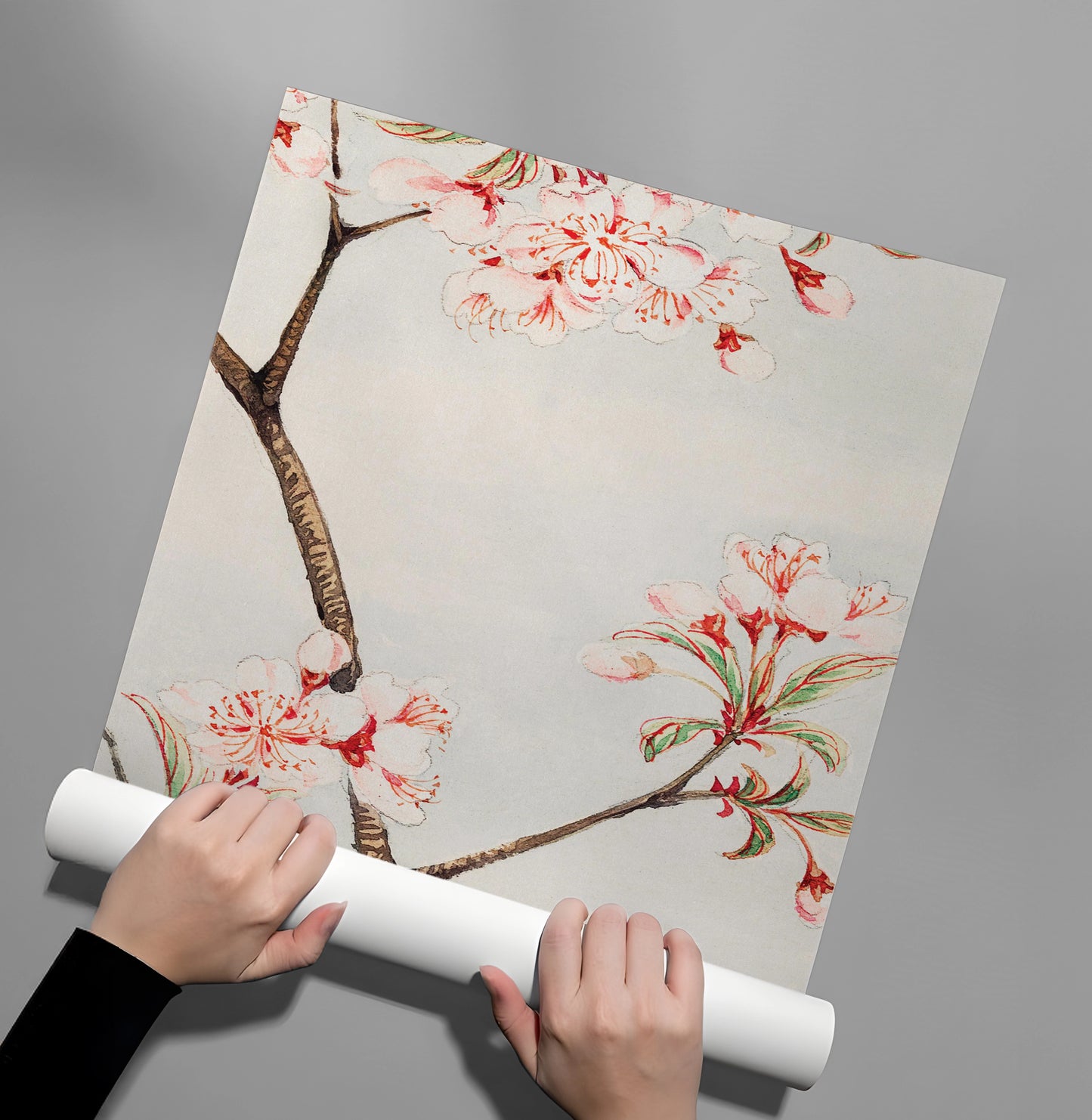 2Traditional Japanese Cherry Blossom - Poster