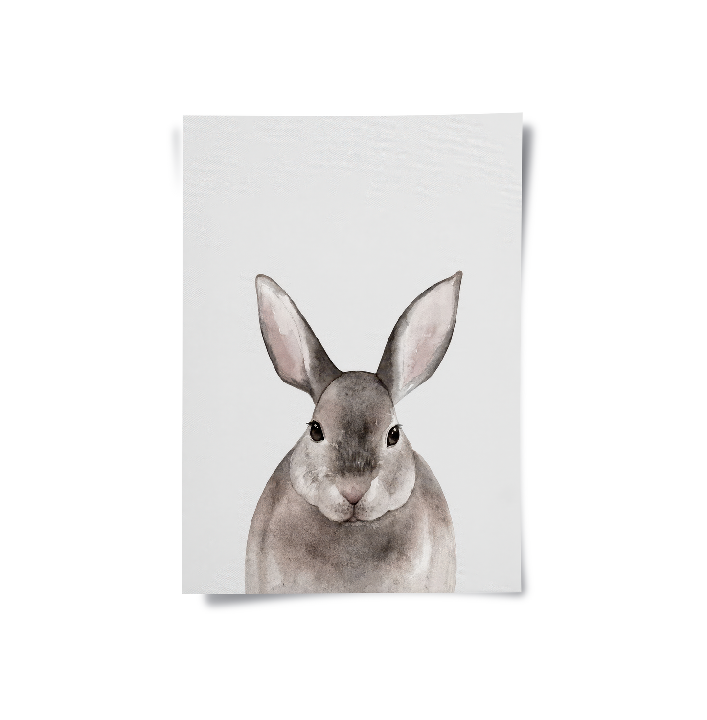 2Watercolor Rabbit - Poster