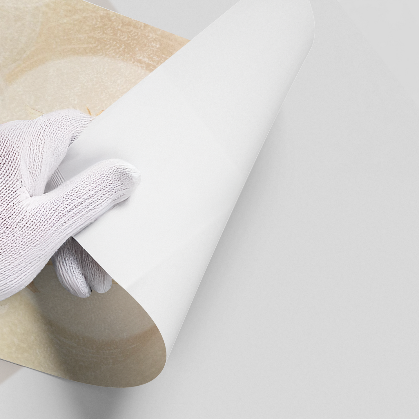 2Whimsical Bunny Girl - Poster