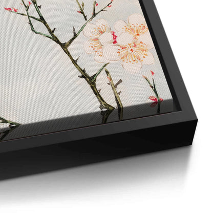 White Plum Blossoms - Canvas