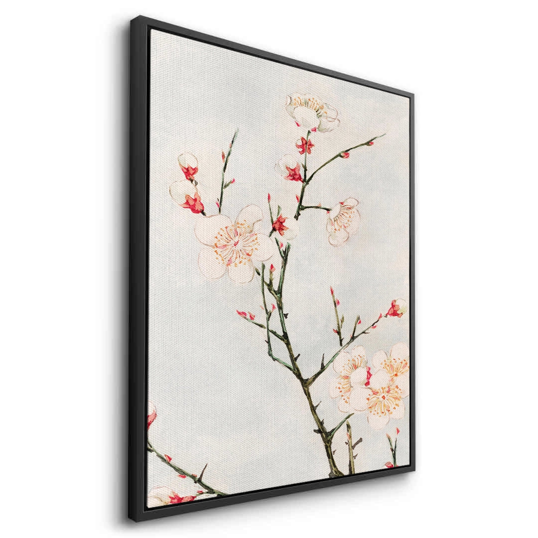 2White Plum Blossoms - Canvas