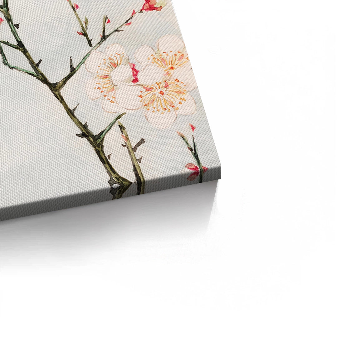 2White Plum Blossoms - Canvas