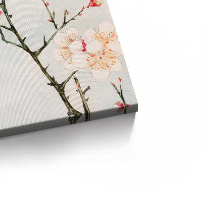 White Plum Blossoms - Canvas