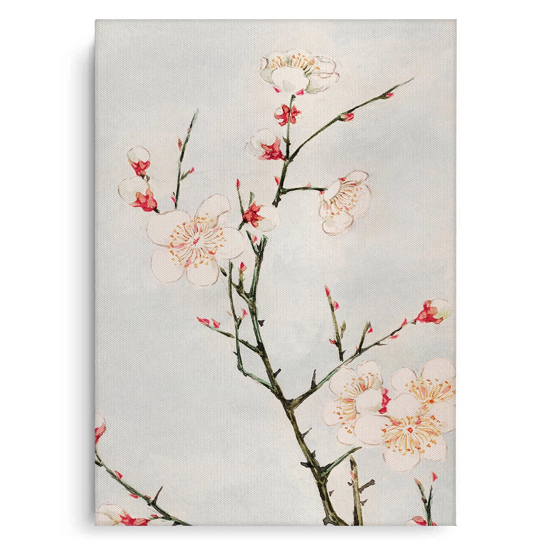 2White Plum Blossoms - Canvas
