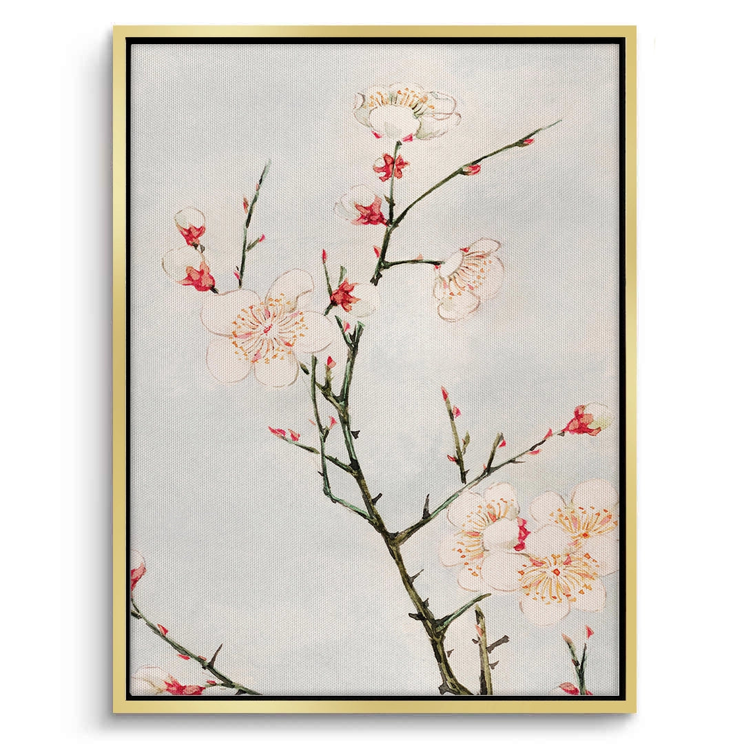 2White Plum Blossoms - Canvas