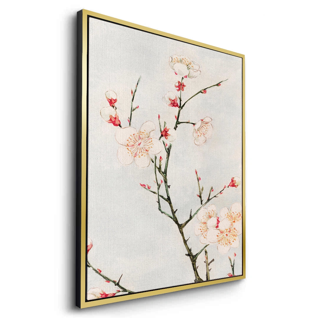 2White Plum Blossoms - Canvas