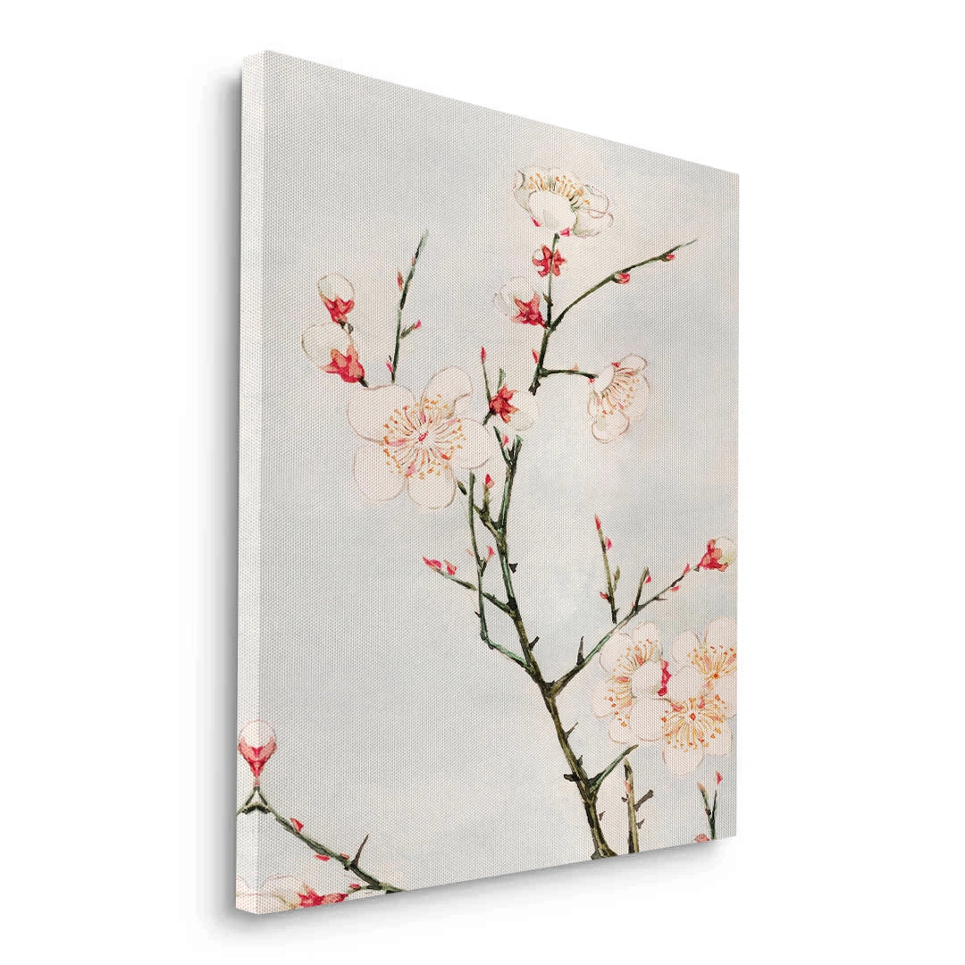 2White Plum Blossoms - Canvas