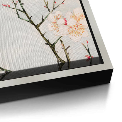 White Plum Blossoms - Canvas