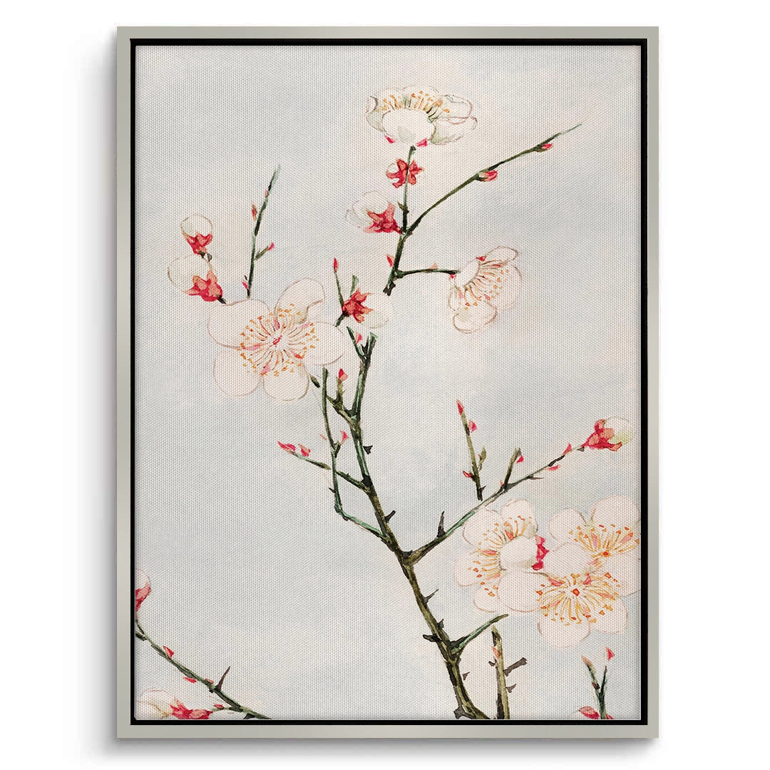 2White Plum Blossoms - Canvas
