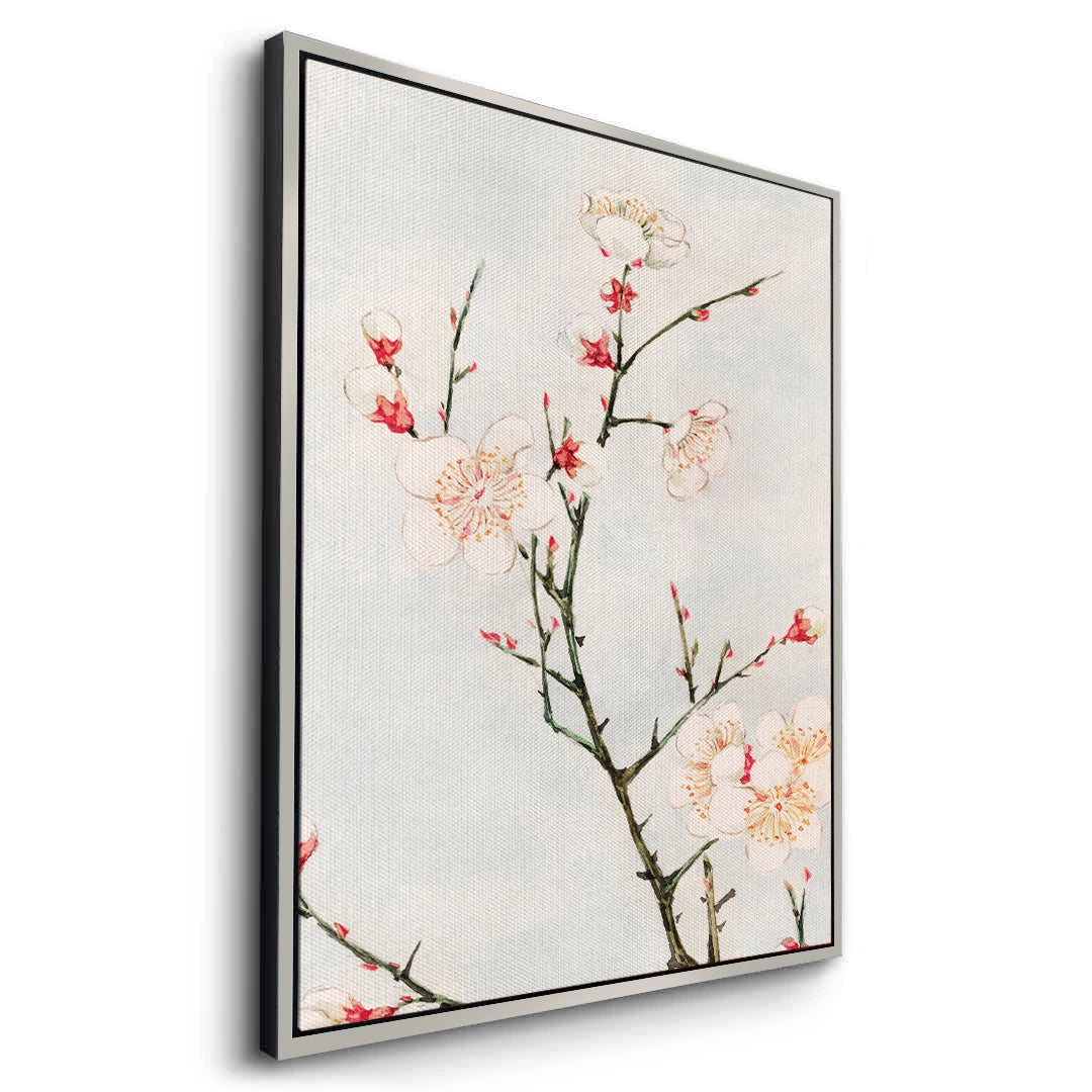 2White Plum Blossoms - Canvas