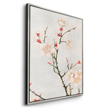 White Plum Blossoms - Canvas