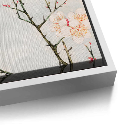 White Plum Blossoms - Canvas