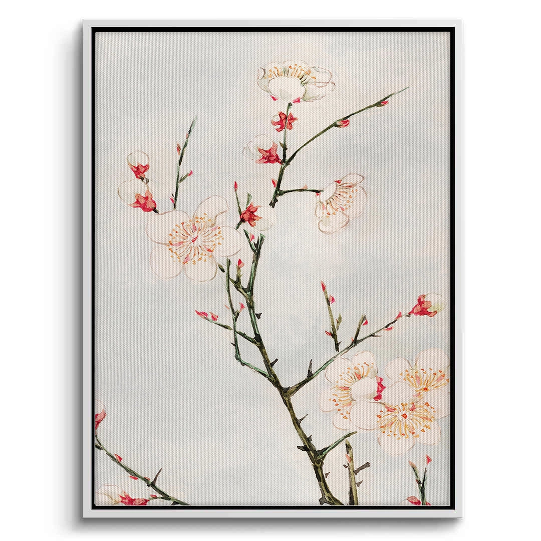 2White Plum Blossoms - Canvas
